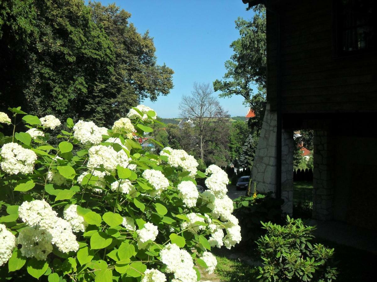 Noce I Dnie - Apartamenty I Pokoje Kazimierz Dolny Exteriör bild